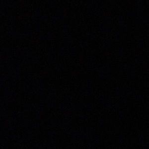 Meet your Posher, Terry